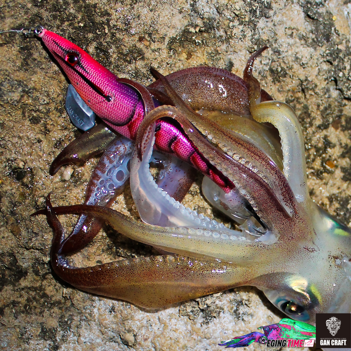 Pesca de calamares a Eging: ¿Como elegir un egi?. Parte 2