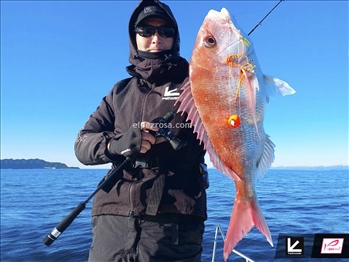 Tailwalk Taigame SD - Tailwalk