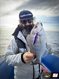 Real Fisher Shrimp Rubber - Real Fisher