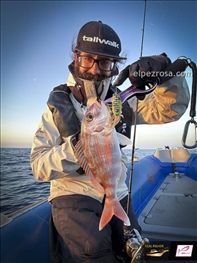 Real Fisher Squid Rubber - Real Fisher