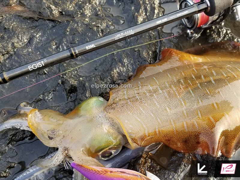 Tailwalk Egist TZ - Tailwalk