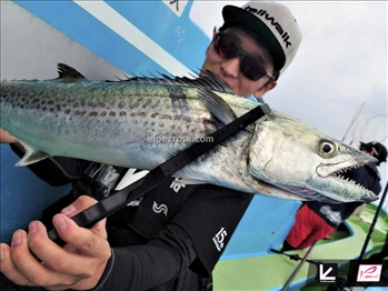 Tailwalk Pinza sujetapeces Gabrill - Tailwalk