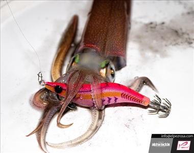 Análisis | Crazee Squid Egi de Alpha Tackle