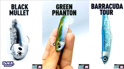 Nuevos Combos Black Minnow Talla 3| Verano 2024
