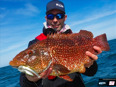 Black Eel, Probando el nuevo señuelo de Fiiish en el Cantábrico