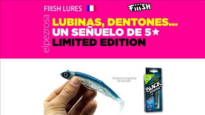 Barracuda Blue | Edición Limitada Black Minnow