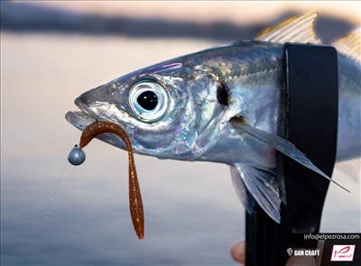 AJING | Gan Craft Aji Bakusui