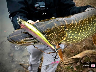 Kaiten 148 de Gan Craft y Lucios