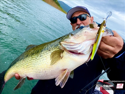 Rest de Gan Craft: Jerkbait para el Black Bass