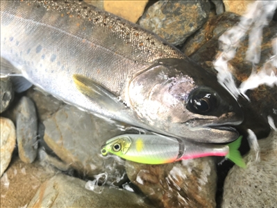 Nuevo Jointed Claw 70 de Gan Craft