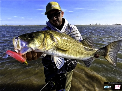 Como pescar lubinas con Black Minnow en el Mediterraneo