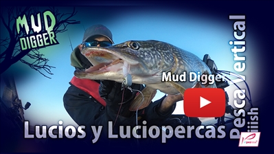 Vídeo. Pescando con Mud Digger Lucios y Luciopercas en vertical