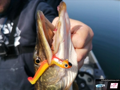 Mud Digger: La excavadora de Lucios