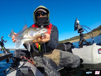 Mud Digger de Fiiish: Luciopercas y Lucios desde pato