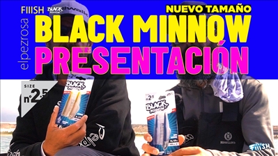 Black Minnow 105 2.5 | Fiiish