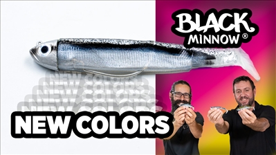 Nuevos colores de Black Minnow para el verano: Vídeo