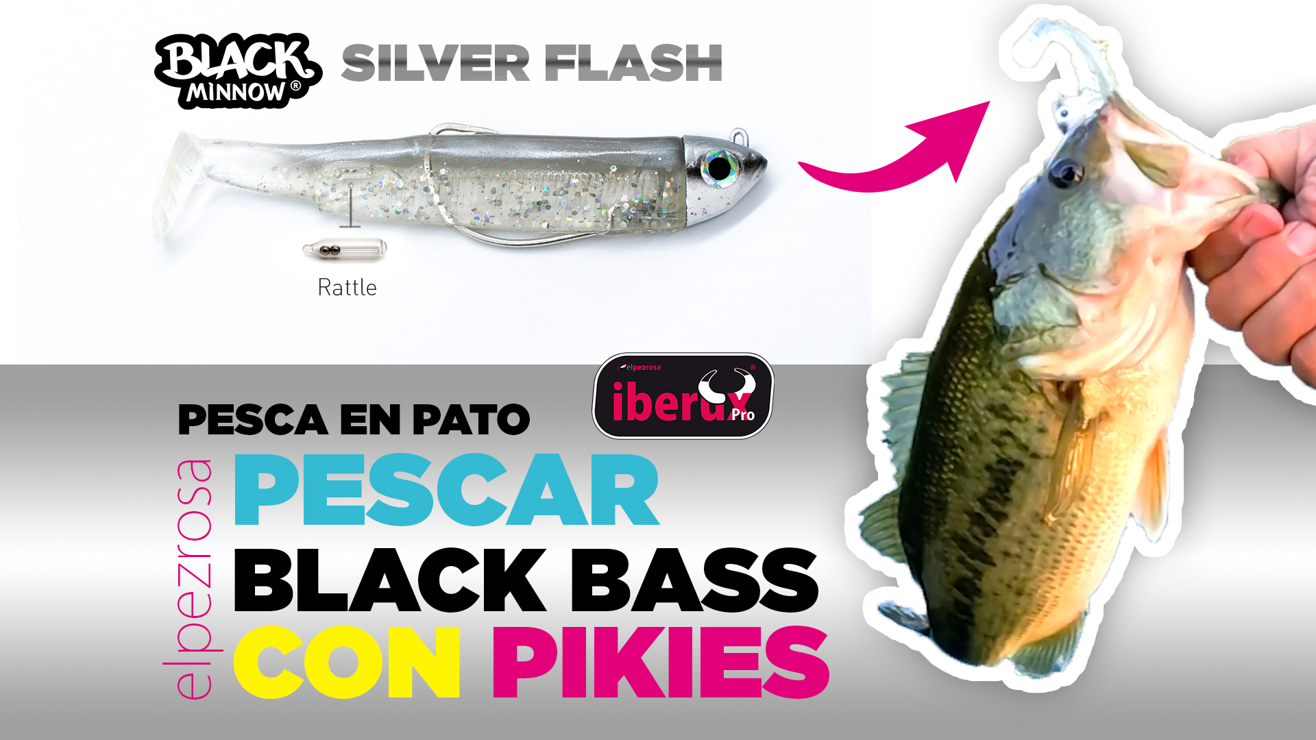 BLACK BASS| VIDEO Como pescar BLACK BASS desde pato con Black Minnow SILVER FLASH