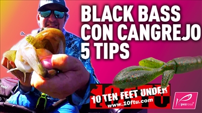 Video - 5 consejos para pescar Black Bass con Cangrejo de Vinilo :: PADROTTER