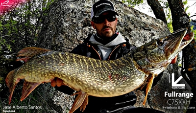 Fullrange C75XXH - Cuando te dan las gracias calibras el valor de un consejo