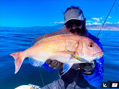 Análisis |Nuevas cañas de slow jigging: carbono macizo