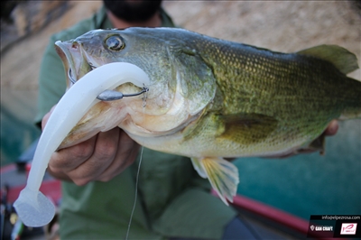 Bariki Gan Craft: Swimbait de vinilo japonés para el Black Bass
