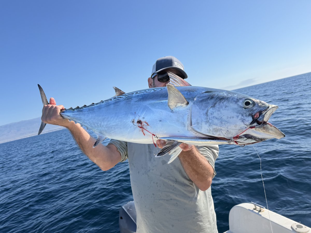 Bacoreta capturada a slow jigging en mar abierto
