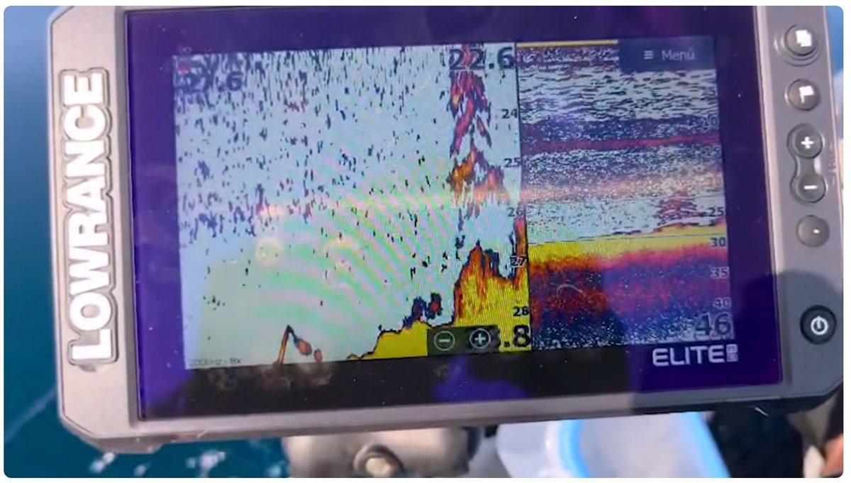 Pantalla de la sonda con pez pasto y peces a media agua